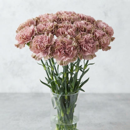 FeedSync:wholesale:72abb209aed555c4493a839119d0dfd90c87943c