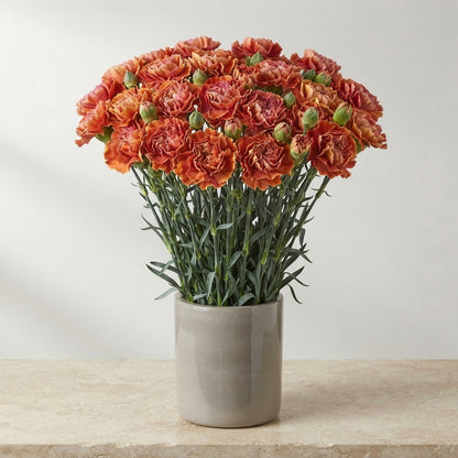 FeedSync:wholesale:5e454d3bf9741fc898e927888c15de61399dc315