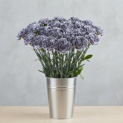 FeedSync:wholesale:ed575c3c52039f5d9a2aef938339d74c98db4e70