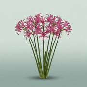 FeedSync:wholesale:5d9b221567d8b0fffec3d9b0f7c762b8f84cbe60