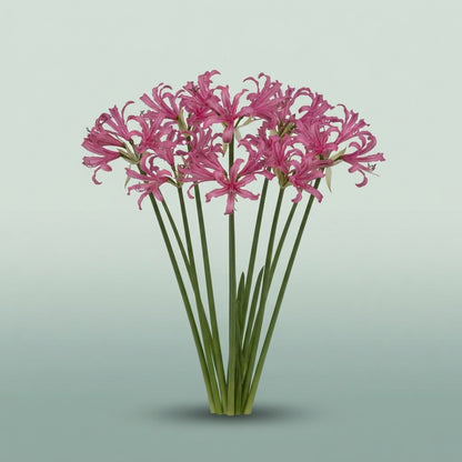 FeedSync:wholesale:5d9b221567d8b0fffec3d9b0f7c762b8f84cbe60
