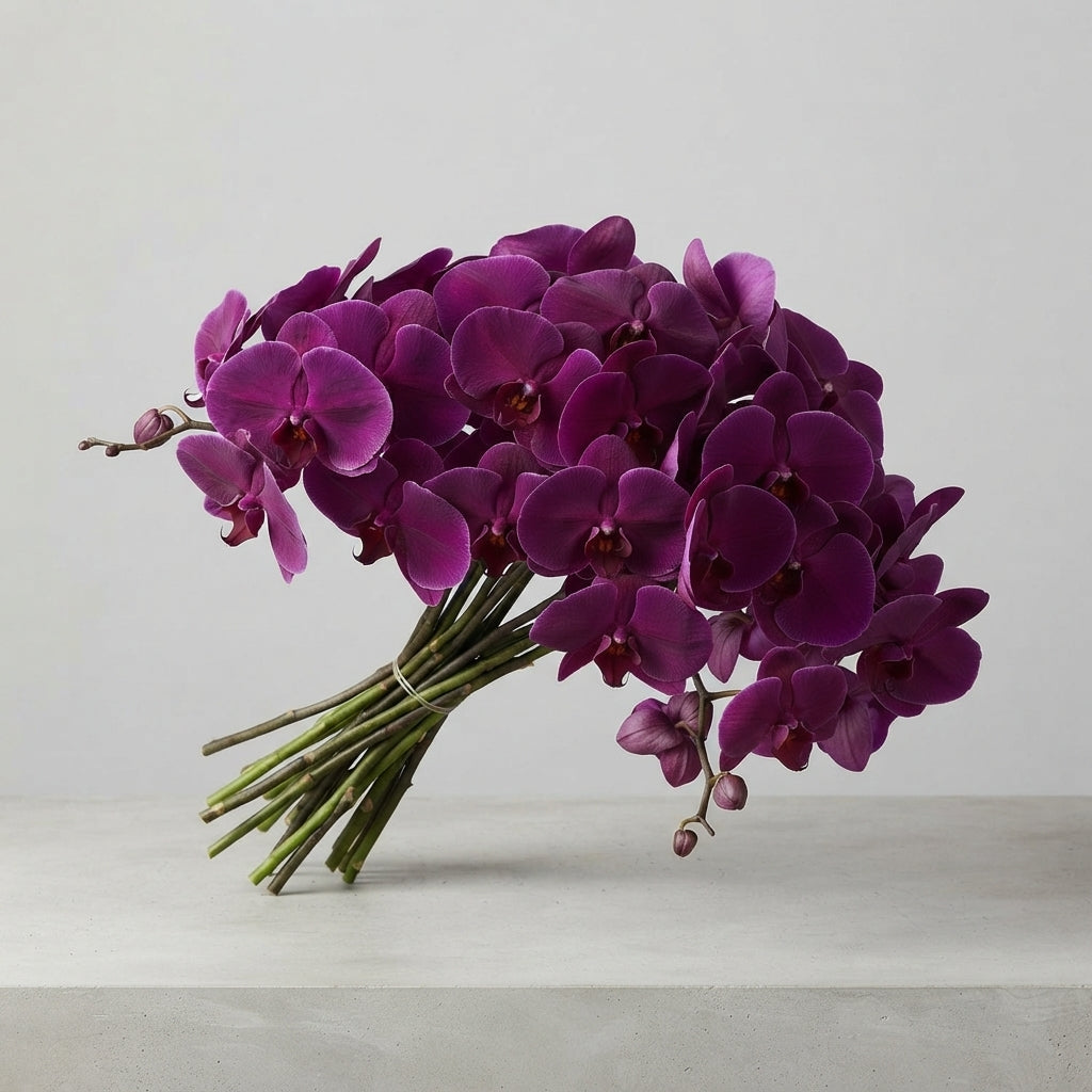 FeedSync:wholesale:6a9a86cacfb8664e9bbc36e5b64413a25c78e0ad