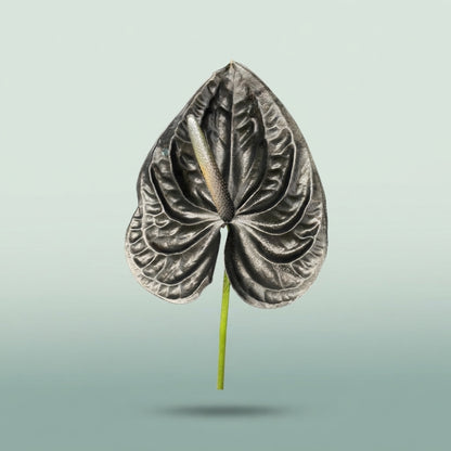 FeedSync:wholesale:ce53f4ab9e8b956148307da7c3d91d9b0f7366a1