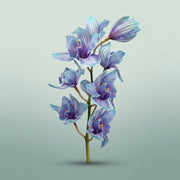 FeedSync:wholesale:70fc335df63b12a9f7deea8721f7d9c28c737ced