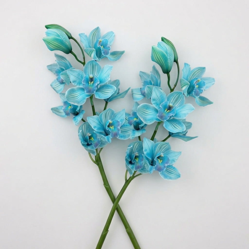 FeedSync:wholesale:c4c91983d67bb032065a4ff834eb781a7cf0d295