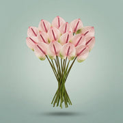 FeedSync:wholesale:6b6e27b5f7b05f80a361c95f515e99b966ded166
