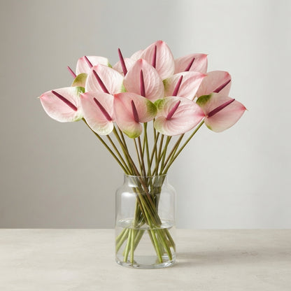 FeedSync:wholesale:68e8017e05ea15854cf38e85ef9e413bfc8475e3