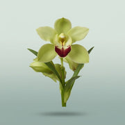 FeedSync:wholesale:ca93295f261aa2e4084c66262385fc017ed8e06a