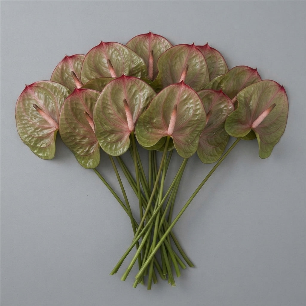FeedSync:wholesale:902b615f8e79108b0ec5a61a590b41cc80066165