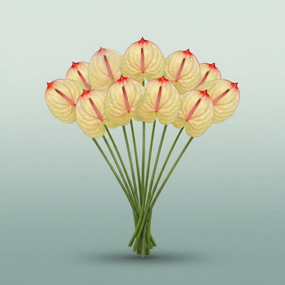 FeedSync:wholesale:fe82c4f73bf8079625373c62cfb50c1895999da7