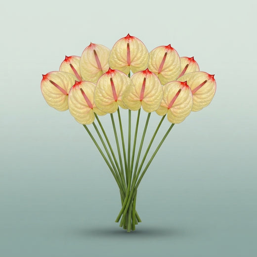 FeedSync:wholesale:fe82c4f73bf8079625373c62cfb50c1895999da7