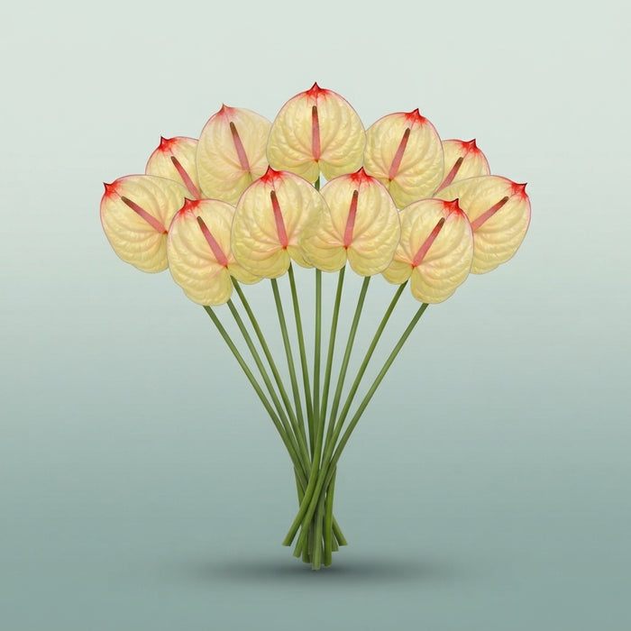 FeedSync:wholesale:fe82c4f73bf8079625373c62cfb50c1895999da7