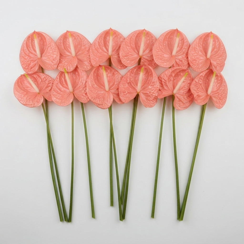 FeedSync:wholesale:b6d4c7779db7b6ef6069524dda267ac5b88edb1b