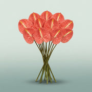 FeedSync:wholesale:46bf107a4a00506a682f5e65cf90667e052f46cf