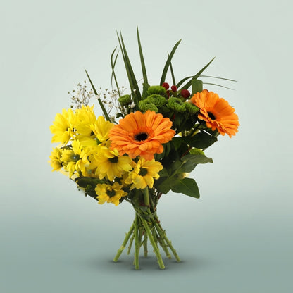 FeedSync:wholesale:59e09e0e385fe8ddbcb110c49e745653596846fd