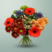 FeedSync:wholesale:edb0db82bfaab89f078295bd1bfa3a0feda8ee7c