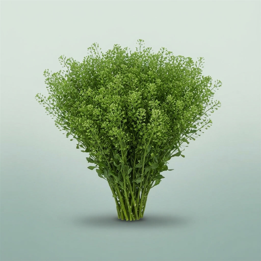 FeedSync:wholesale:da7c82cf4ea739cb8828595ef1e5f0c1faefcb19