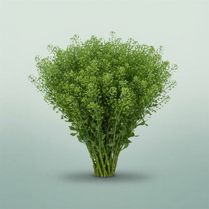 FeedSync:wholesale:da7c82cf4ea739cb8828595ef1e5f0c1faefcb19