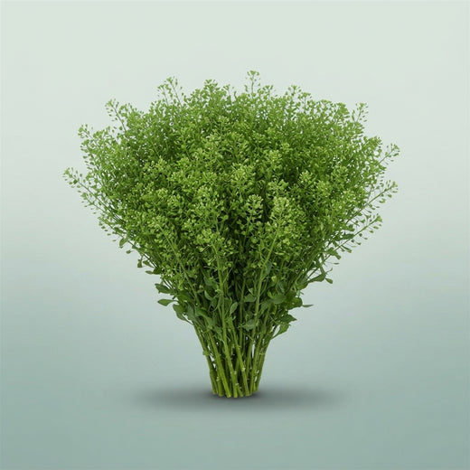 FeedSync:wholesale:da7c82cf4ea739cb8828595ef1e5f0c1faefcb19