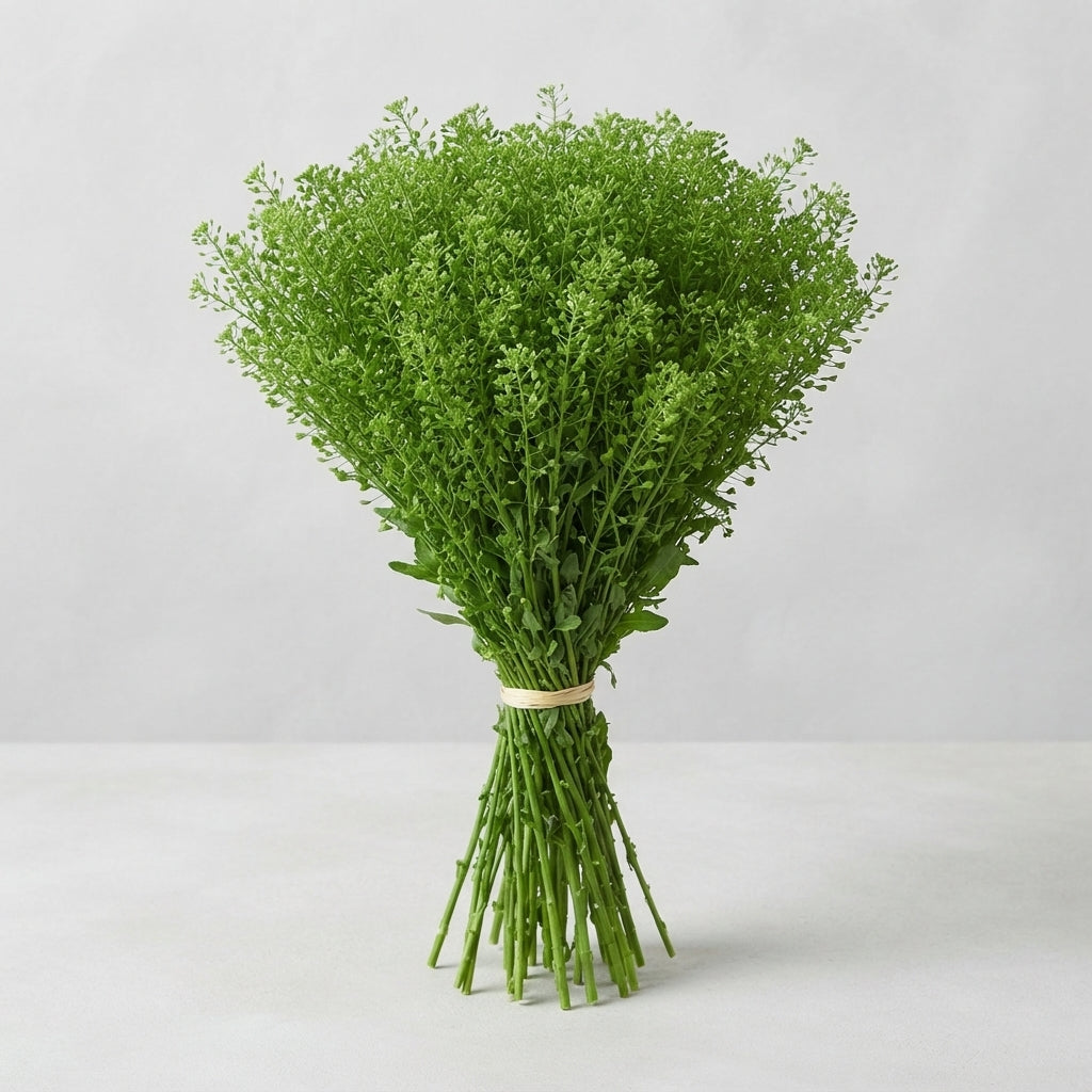 FeedSync:wholesale:10a18ed1dee53bf08b5cd7ac54e9fa5cf4503e49