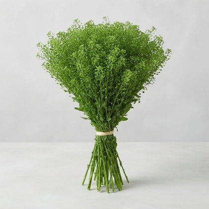 FeedSync:wholesale:10a18ed1dee53bf08b5cd7ac54e9fa5cf4503e49