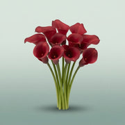 FeedSync:wholesale:174d1ee4fe6f7fce0752577145ef4b562bb34f08