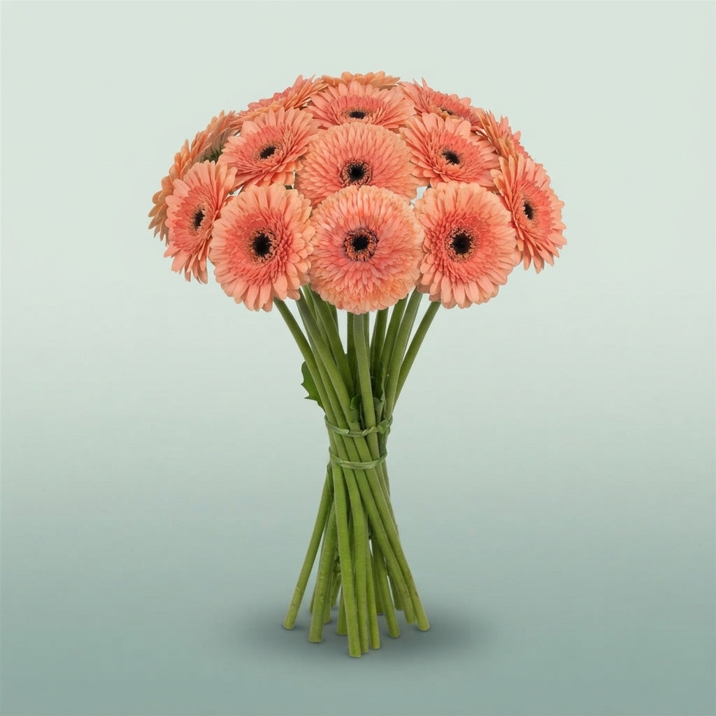 FeedSync:wholesale:189b25f2d94effb3b79cf67a98bf485707e45cd5