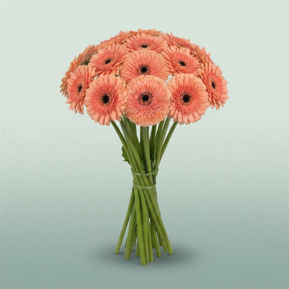 FeedSync:wholesale:189b25f2d94effb3b79cf67a98bf485707e45cd5