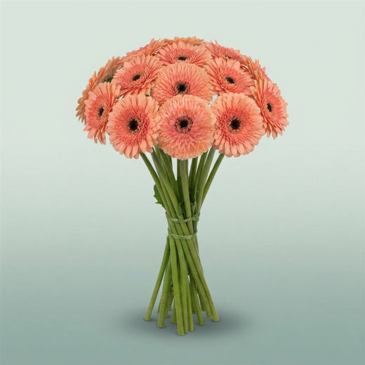 FeedSync:wholesale:189b25f2d94effb3b79cf67a98bf485707e45cd5