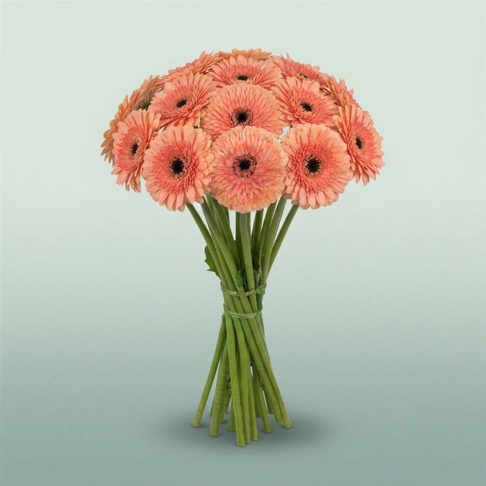 FeedSync:wholesale:189b25f2d94effb3b79cf67a98bf485707e45cd5