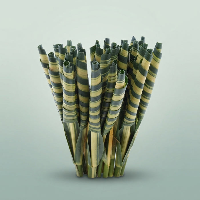 FeedSync:wholesale:f07e8509974adbeba90922f38a1070662580949b
