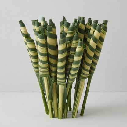 FeedSync:wholesale:4e46417cb5d7a3fd2279509707892b3e331ca528