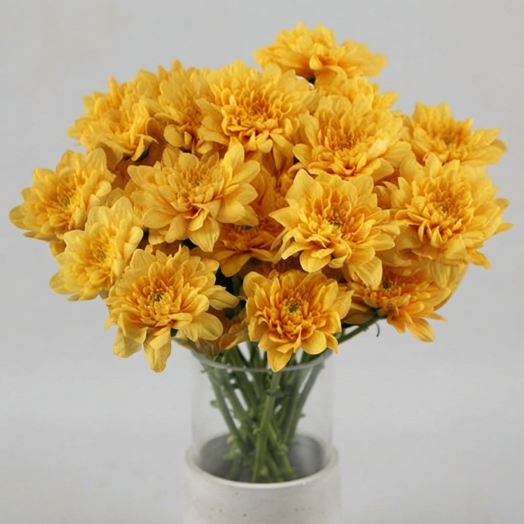 FeedSync:wholesale:d1295bf903af96a74efc333f1ed5de7dd335e147