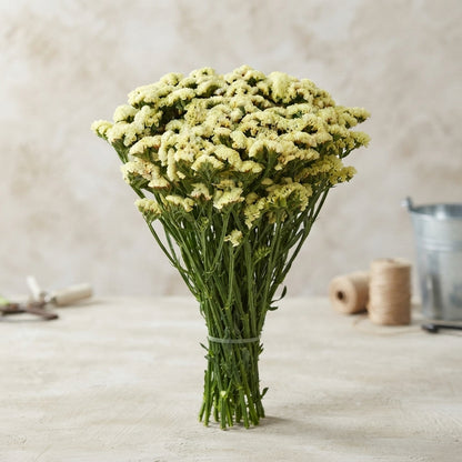 FeedSync:wholesale:d75f4aeea429dfb8859ecb7747eb8308c874aedf