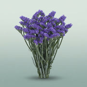 FeedSync:wholesale:fc93119ba4c1f0b8dbfc3d1860244cf62527d028