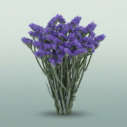 FeedSync:wholesale:fc93119ba4c1f0b8dbfc3d1860244cf62527d028