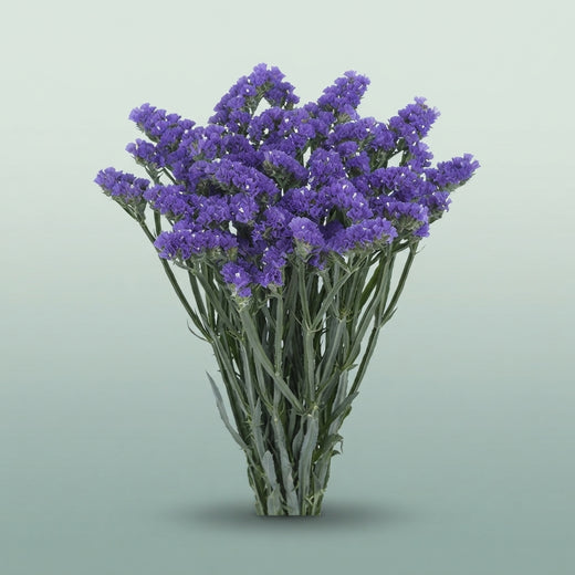 FeedSync:wholesale:fc93119ba4c1f0b8dbfc3d1860244cf62527d028