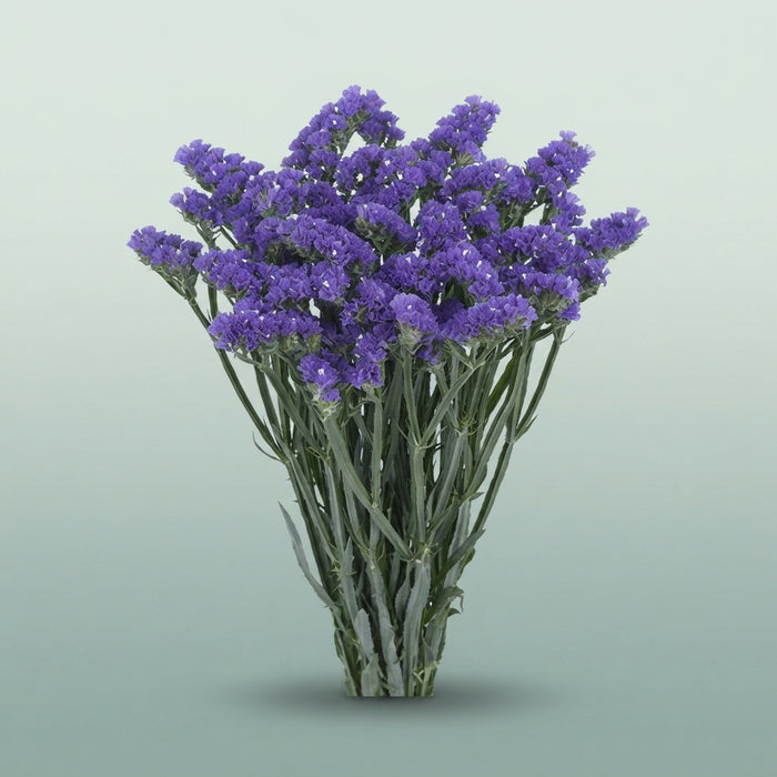 FeedSync:wholesale:fc93119ba4c1f0b8dbfc3d1860244cf62527d028