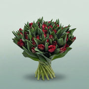 FeedSync:wholesale:acd81ce6a9f5d6a77ae632a272b005dabe0dcfdd