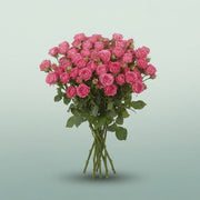 FeedSync:wholesale:dc2846d67441fb5c66bcf1a62871d5d462c5b48c
