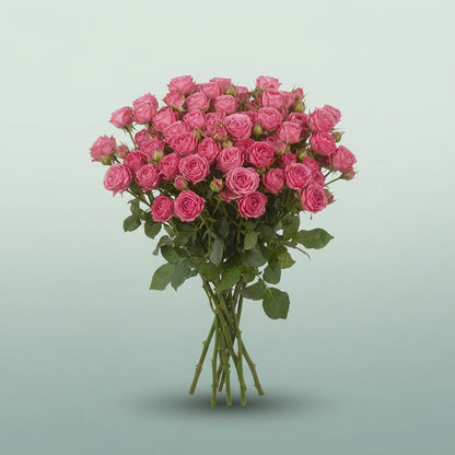 FeedSync:wholesale:dc2846d67441fb5c66bcf1a62871d5d462c5b48c