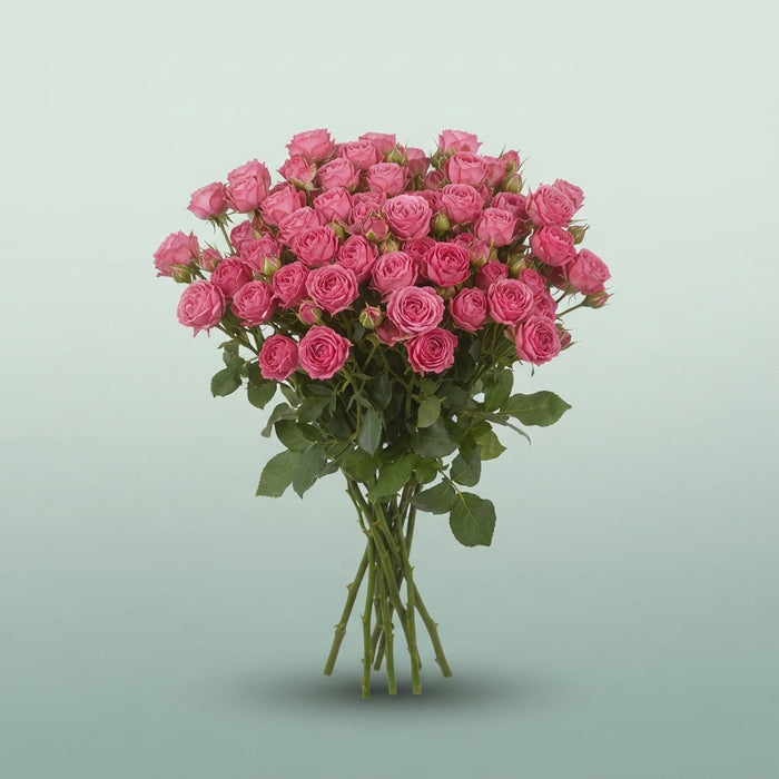 FeedSync:wholesale:dc2846d67441fb5c66bcf1a62871d5d462c5b48c