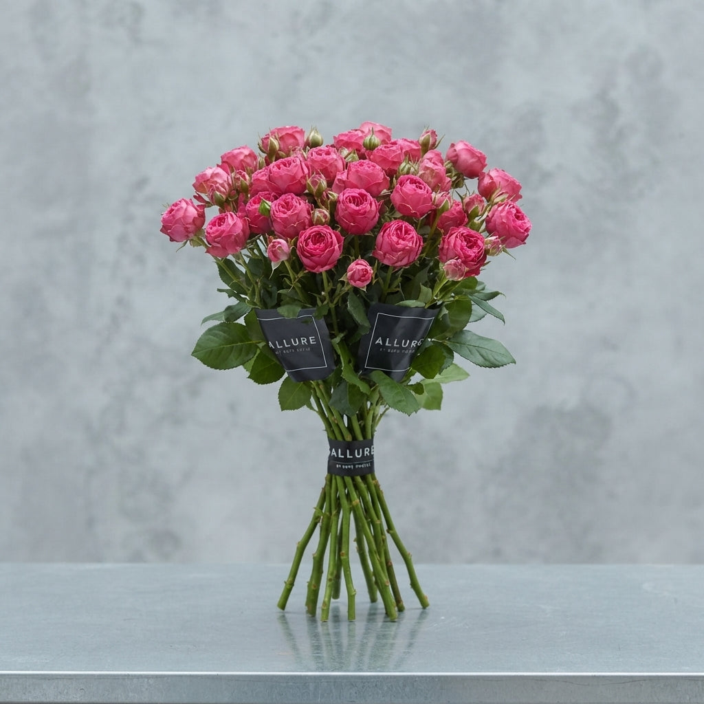 FeedSync:wholesale:a3b513a39dd4a9b0a16e9fe72ec3d551a6e574d9
