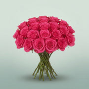FeedSync:wholesale:a6d637bd5d99ee17d470b0354bbb2af3d8f60ab5