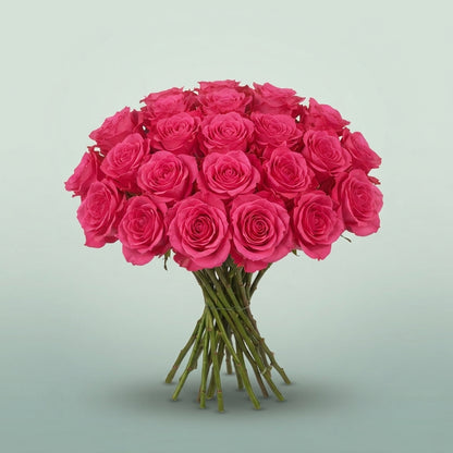 FeedSync:wholesale:a6d637bd5d99ee17d470b0354bbb2af3d8f60ab5