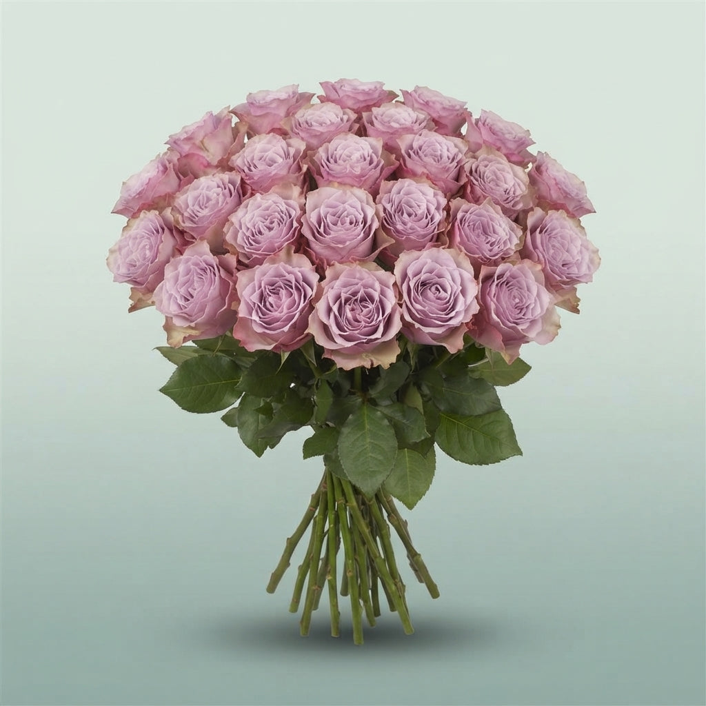 FeedSync:wholesale:df2716c79f642d7a46a633473366fcb749cc175c