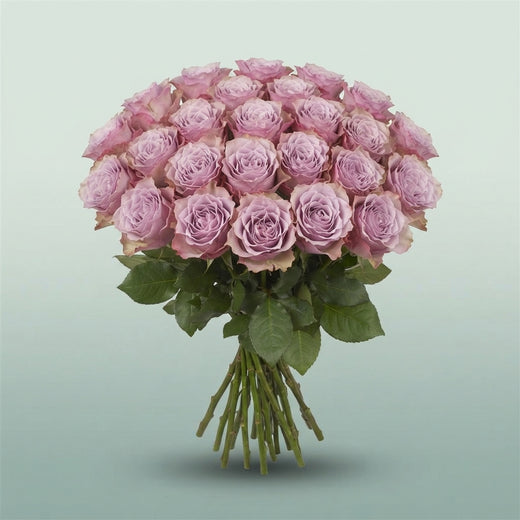 FeedSync:wholesale:df2716c79f642d7a46a633473366fcb749cc175c