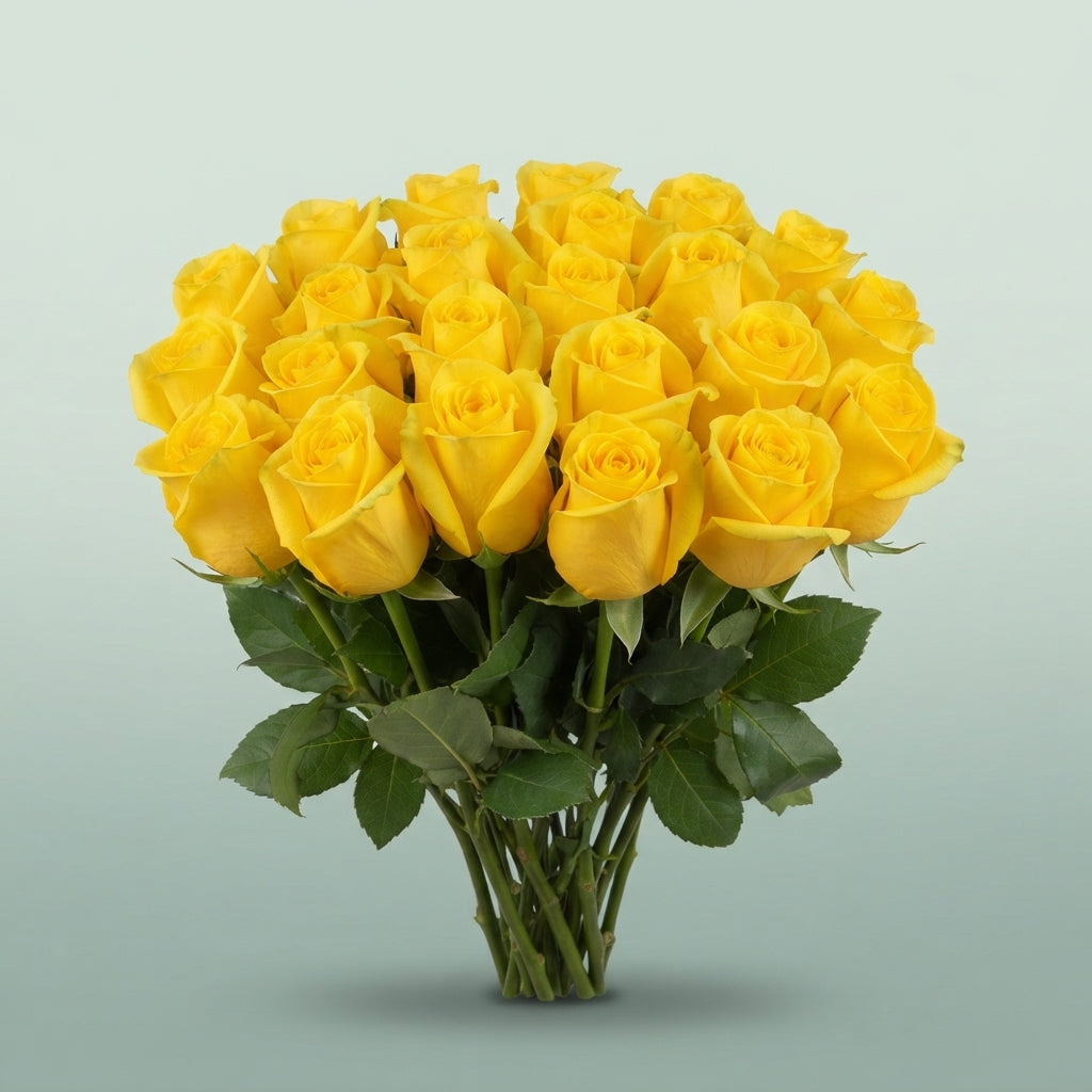 FeedSync:wholesale:f09a3fec44c0fe587a7f50cfebd18c6a99abdf63