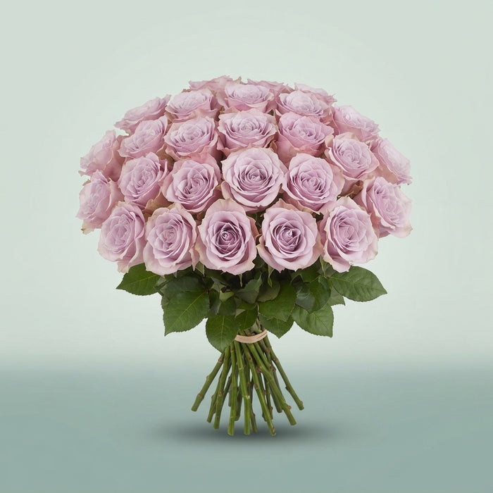 FeedSync:wholesale:c16bf758cfda5b10a339e686e48e2242b0b78674