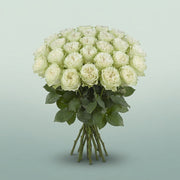 FeedSync:wholesale:98c9e76103b6c2d639ee90ec6e6f657bce9ca9c3